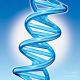 Royer-Royer Line dna-double-helix-marc-phares-and-photo-researchers